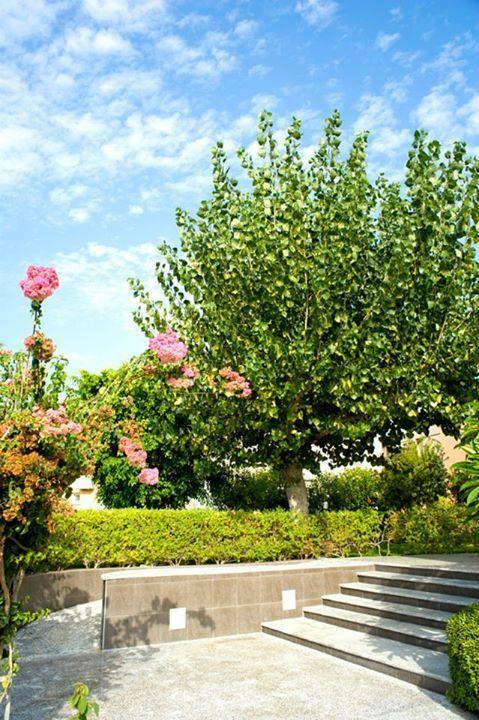 Alfa Hotel Apartments Gerani  Екстер'єр фото